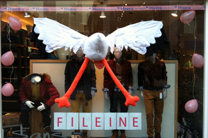 raam-ooievaar-xxl-huren