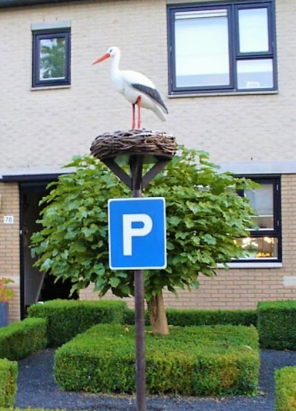ooievaar op nest huren, baby bijna geboren